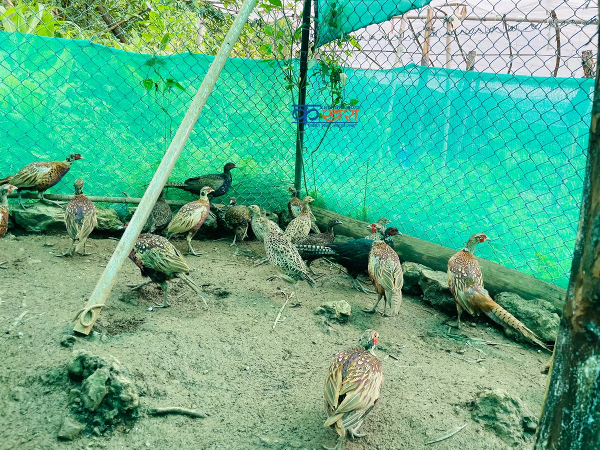 रुकुम पश्चिमको पहिलो कालिज फार्म
